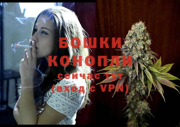винт Арсеньев