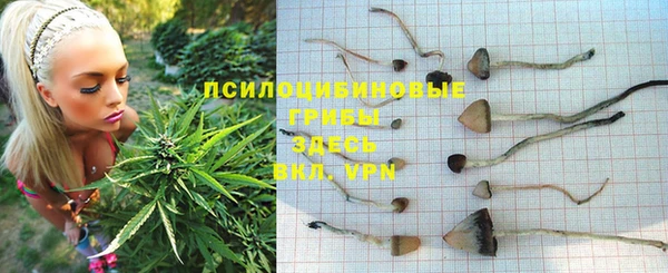 соль курить ск Армянск