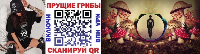 Галлюциногенные грибы MAGIC MUSHROOMS  Тотьма 